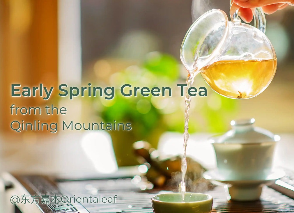 Азербайджан планирует начать сборку и продажу большегрузов от Tatra